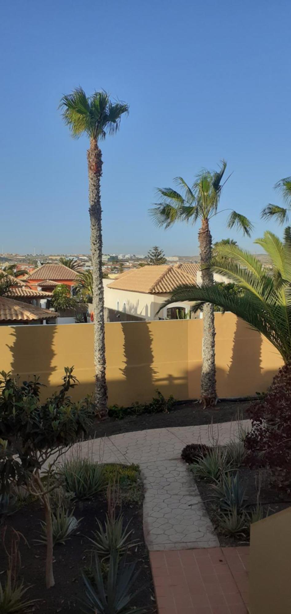 Apartament Oasis Waves House Papagayo Corralejo Zewnętrze zdjęcie