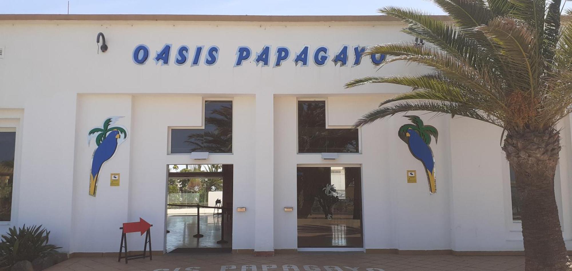 Apartament Oasis Waves House Papagayo Corralejo Zewnętrze zdjęcie